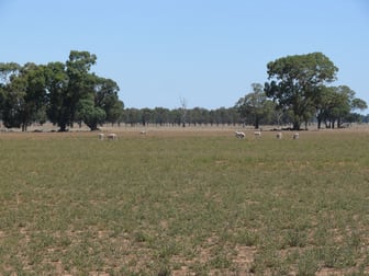 Waverley/448 Waverley Road Lowesdale NSW 2646 - Image 2