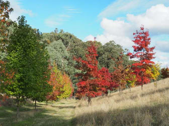 142 Red Hill Road Beechworth VIC 3747 - Image 2