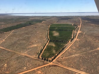 576 Menindee Road Menindee NSW 2879 - Image 2