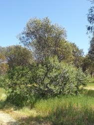 38 Avoca Road Morbinning WA 6304 - Image 3