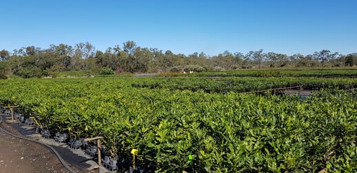 182 Ten Mile Road Sharon QLD 4670 - Image 3