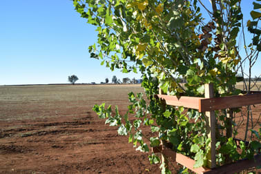 'Sheraton View' Sheraton Road Dubbo NSW 2830 - Image 2