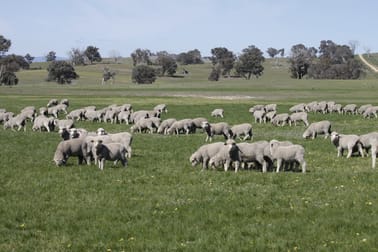 Jindalee Black Range Road Yass NSW 2582 - Image 2