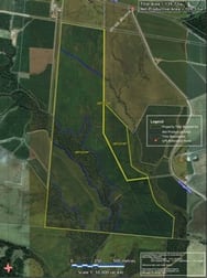 Coastal Farms Tully QLD 4854 - Image 2