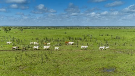 “Tanumbirini” and “Forrest Hill” Daly Waters NT 0852 - Image 1