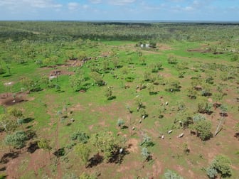 “Tanumbirini” and “Forrest Hill” Daly Waters NT 0852 - Image 3