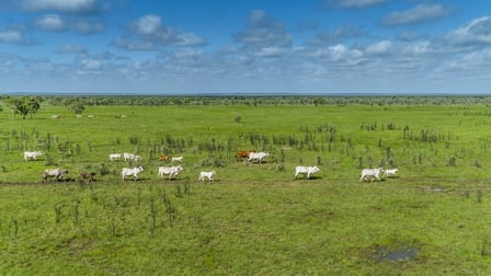 NT Portions 6366, 7493 and 5145 Perpetual Pastoral Lease 1190 Carpentaria Highway Daly Waters NT 0852 - Image 1