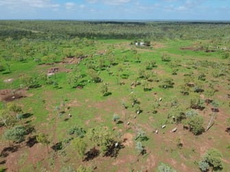 NT Portions 6366, 7493 and 5145 Perpetual Pastoral Lease 1190 Carpentaria Highway Daly Waters NT 0852 - Image 3