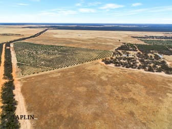 632 Gurrai North Road Lameroo SA 5302 - Image 1