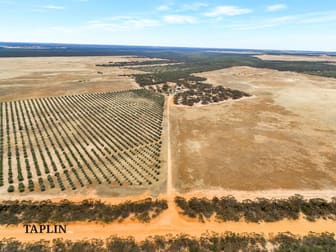 632 Gurrai North Road Lameroo SA 5302 - Image 2