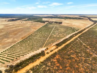 632 Gurrai North Road Lameroo SA 5302 - Image 3