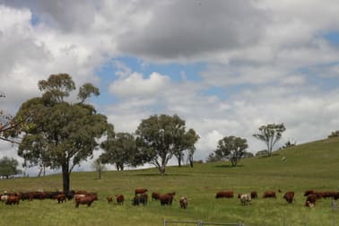 For Sale: Avondale Dunedoo NSW 2844 - Image 1
