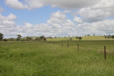 For Sale: Avondale Dunedoo NSW 2844 - Image 2
