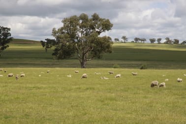 For Sale: Avondale Dunedoo NSW 2844 - Image 3