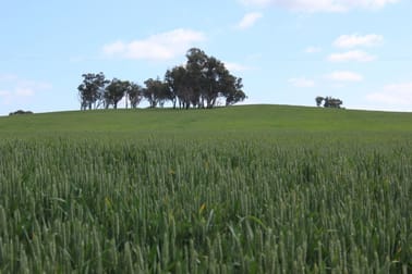For Sale: Tallawang Dunedoo NSW 2844 - Image 1