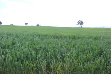 For Sale: Tallawang Dunedoo NSW 2844 - Image 2