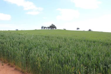 For Sale: Tallawang Dunedoo NSW 2844 - Image 3