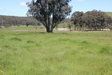 For Sale: Rural/Residential Landholdings Dunedoo NSW 2844 - Image 3