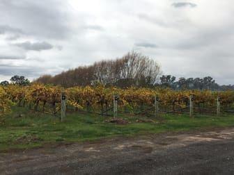 Thompson Vineyard Old Comaum Road Coonawarra SA 5263 - Image 1