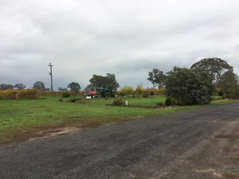 Thompson Vineyard Old Comaum Road Coonawarra SA 5263 - Image 2