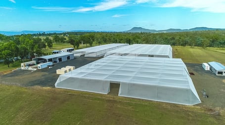 Southern Cross Hydroponics Caswells Lane Mutdapilly QLD 4307 - Image 2