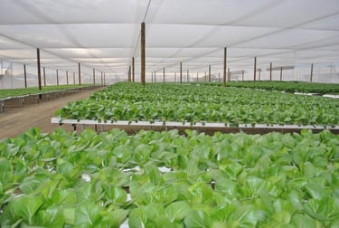 Southern Cross Hydroponics Caswells Lane Mutdapilly QLD 4307 - Image 3