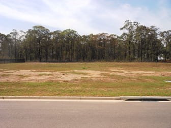 46 Canavan Drive Beresfield NSW 2322 - Image 2