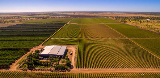 Cordoma Farms Gregory Highway Emerald VIC 3782 - Image 1