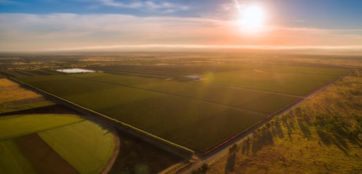 Cordoma Farms Gregory Highway Emerald VIC 3782 - Image 3