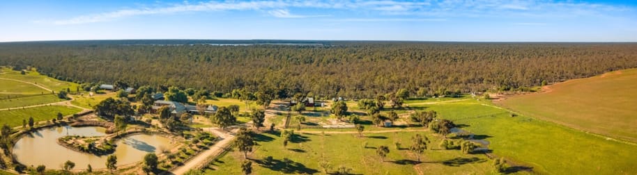 Moira Station 2636 Cobb Highway Mathoura NSW 2710 - Image 3