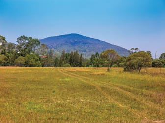 39 Barns Lane Coolum Beach QLD 4573 - Image 3