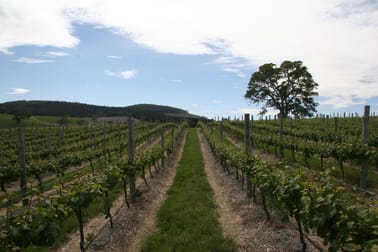 Domain Day Vineyard Lot 349 Springton Road Williamstown SA 5351 - Image 1