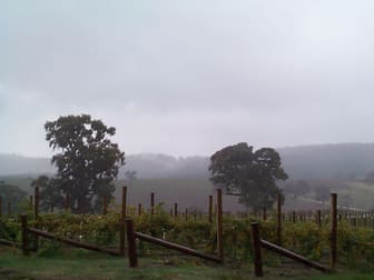 Domain Day Vineyard Lot 349 Springton Road Williamstown SA 5351 - Image 2