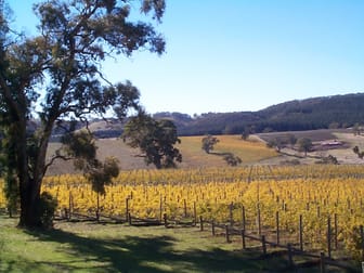 Domain Day Vineyard Lot 349 Springton Road Williamstown SA 5351 - Image 3