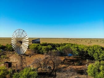 Bowen Downs Muttaburra QLD 4732 - Image 1