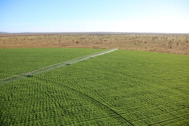 800 Coppock Road Anmatjere NT 0872 - Image 3