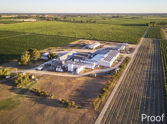 Katnook Estate 15310 Riddoch Highway Coonawarra SA 5263 - Image 1