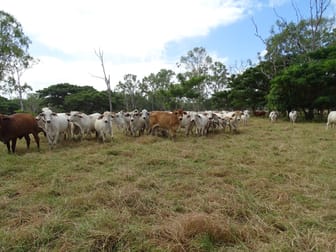 248 Hodel Road Giru QLD 4809 - Image 2