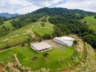 420 Camp Creek Road Camp Creek QLD 4871 - Image 3