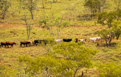 1 Robinson Road Larrimah NT 0852 - Image 3