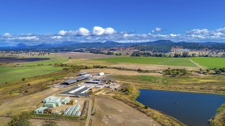 200 Telemon Homestead Road Innisplain QLD 4285 - Image 1