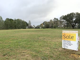 35 Fishburn Street Cowra NSW 2794 - Image 1