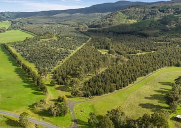 910 King Parrot Creek Road Flowerdale VIC 3717 - Image 1