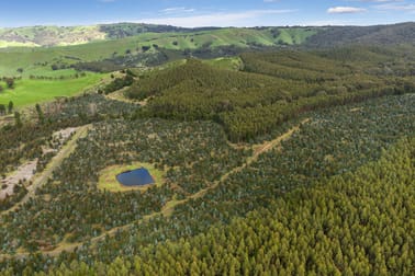 910 King Parrot Creek Road Flowerdale VIC 3717 - Image 2