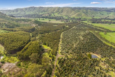 910 King Parrot Creek Road Flowerdale VIC 3717 - Image 3