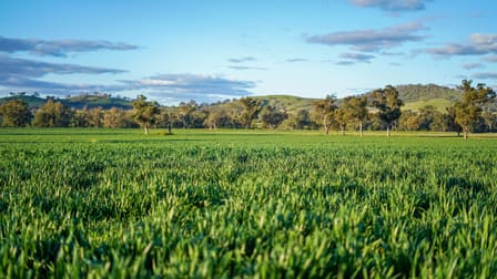 Goolma NSW 2852 - Image 2