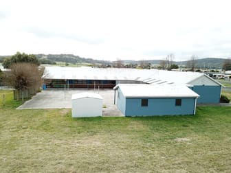 61 Tully Street St Helens TAS 7216 - Image 3