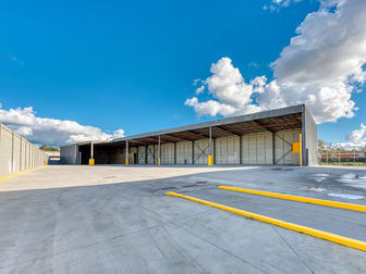13 Pembury Road Minto NSW 2566 - Image 3
