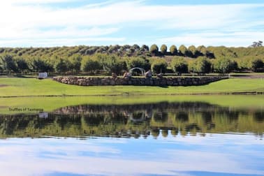 110 Trickett Road Deloraine TAS 7304 - Image 1