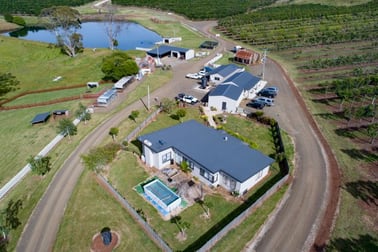 110 Trickett Road Deloraine TAS 7304 - Image 2